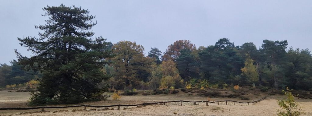 B&B Bij ons in het Bos in Bergen op Zoom – Rust, Natuur & Luxe in vakantiewoning en b en b Bij ons in het bos in Brabant