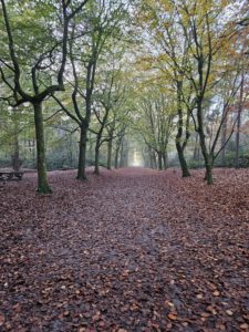 Rust, Natuur & Luxe in vakantiewoning b&B Bij ons in het bos in Bergen op Zoom in Noord-Brabant. Wandelen en fietsen in de natuur en het bos van Bergen op Zoom in Noord-Brabant bij vakantiewoning B&B Bij ons in het bos