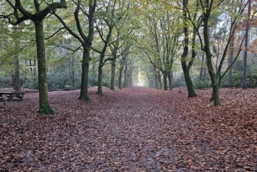 Rust, Natuur & Luxe in vakantiewoning b&B Bij ons in het bos in Bergen op Zoom in Noord-Brabant. Wandelen en fietsen in de natuur en het bos van Bergen op Zoom in Noord-Brabant bij vakantiewoning B&B Bij ons in het bos