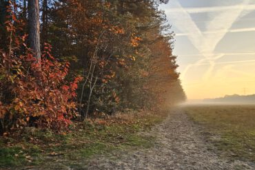 Rust, Natuur & Luxe in vakantiewoning b&B Bij ons in het bos in Bergen op Zoom in Noord-Brabant