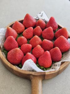 De lekkerste aardbeien als ontbijt in vakantiehuis b en b Bij ons in het bos met eigen opgang en volledig ingerichte keuken in Bergen op Zoom in Noord-Brabant, Zeeland