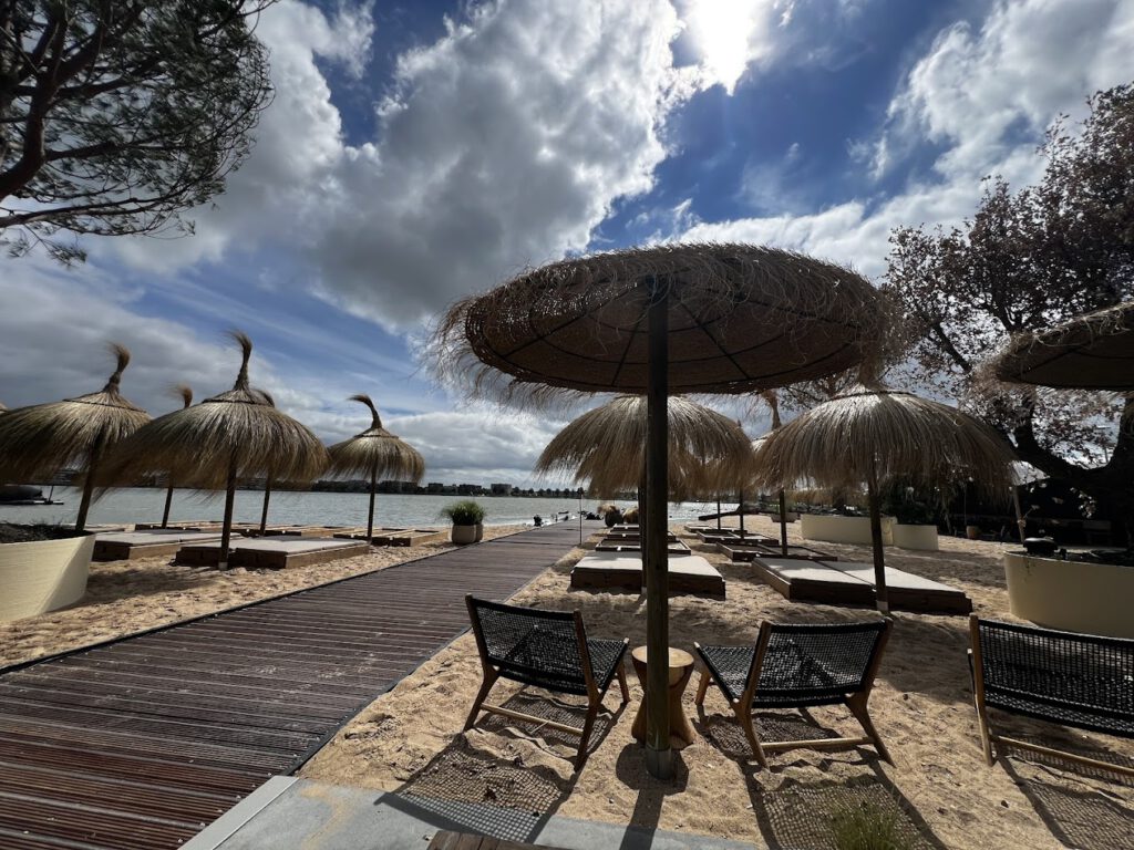 Ga naar AKQA Beach bij B&B Bij ons in het bos in Bergen op Zoom