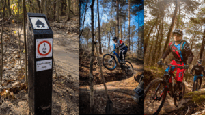 Fietsroutes in Bergen op Zoom.
Fietsen vanaf Bed and Breakfast Bij ons in het bos in Brabant
