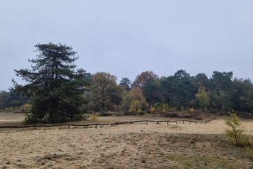 Verken de omgeving van Bergen op Zoom met de fiets