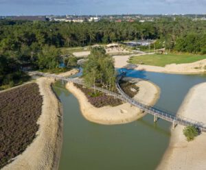Wandelen Bergse Heide vlakbij B&B Bij ons in het bos in Bergen op Zoom